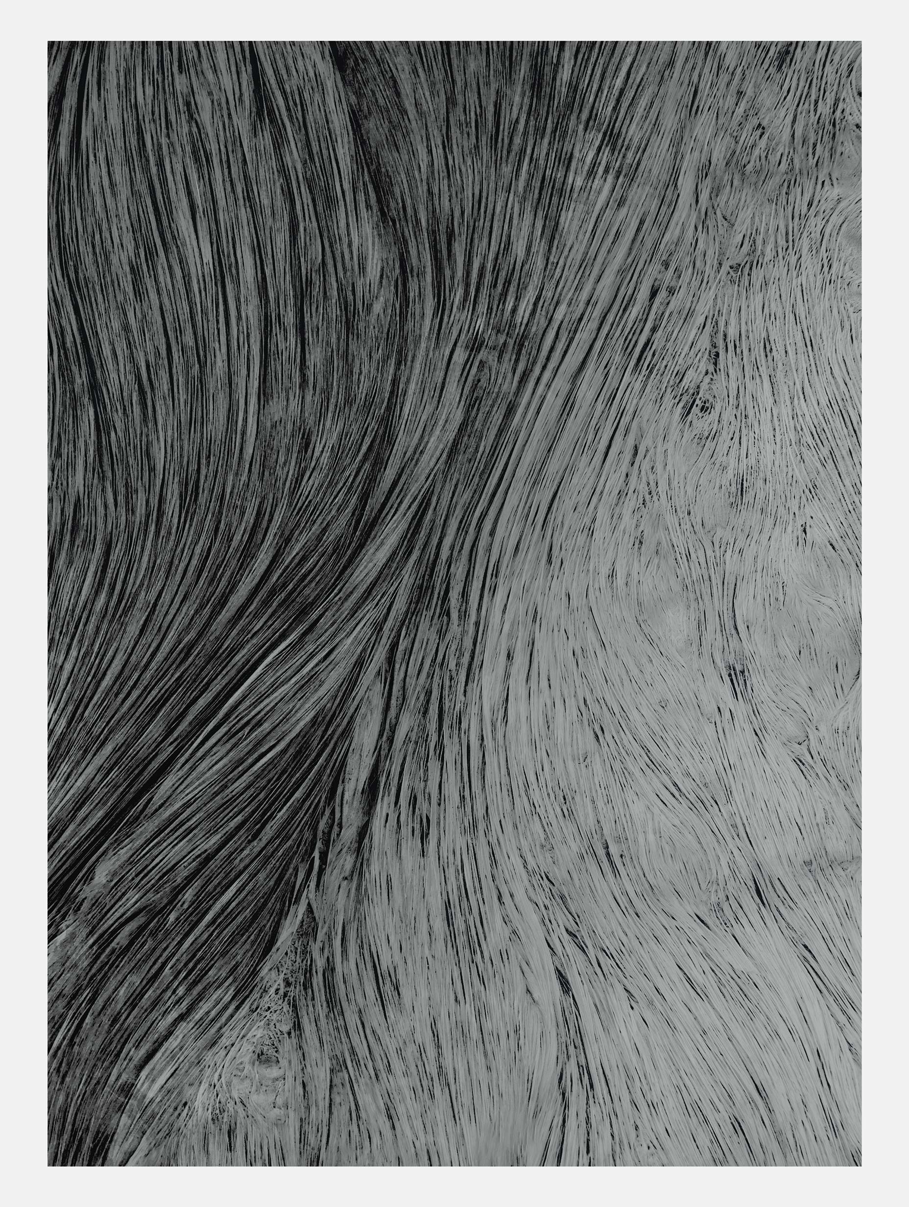 Wavy Woodgrain Patterns Abstract Art Print