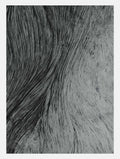 Wavy Woodgrain Patterns Abstract Art Print