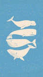 Lydia Greaves - Whales Poster