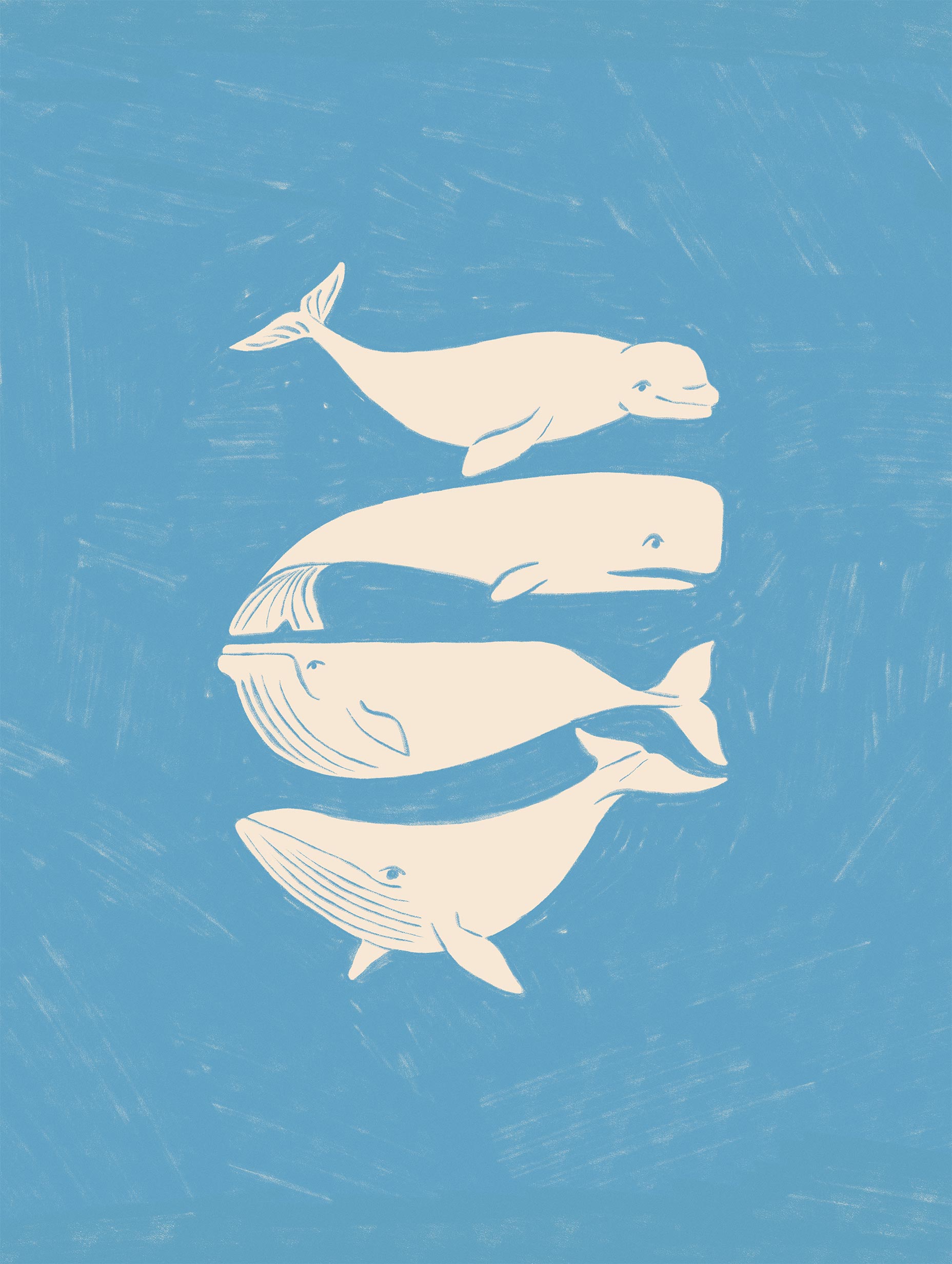 Lydia Greaves - Whales Poster