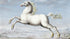 White Horse - Joris Hoefnagel