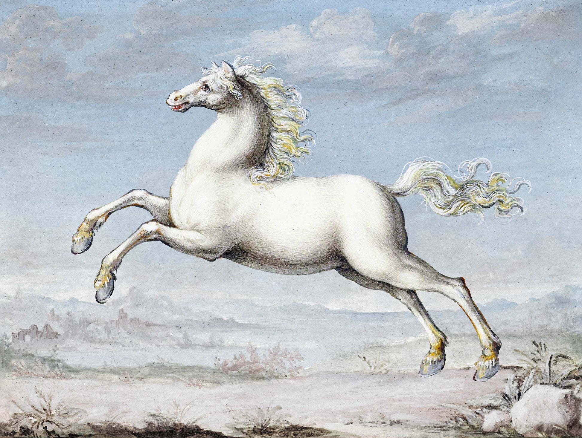 White Horse - Joris Hoefnagel