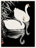 White Chinese Geese Swimming Through Reeds Ohara Koson Art Print