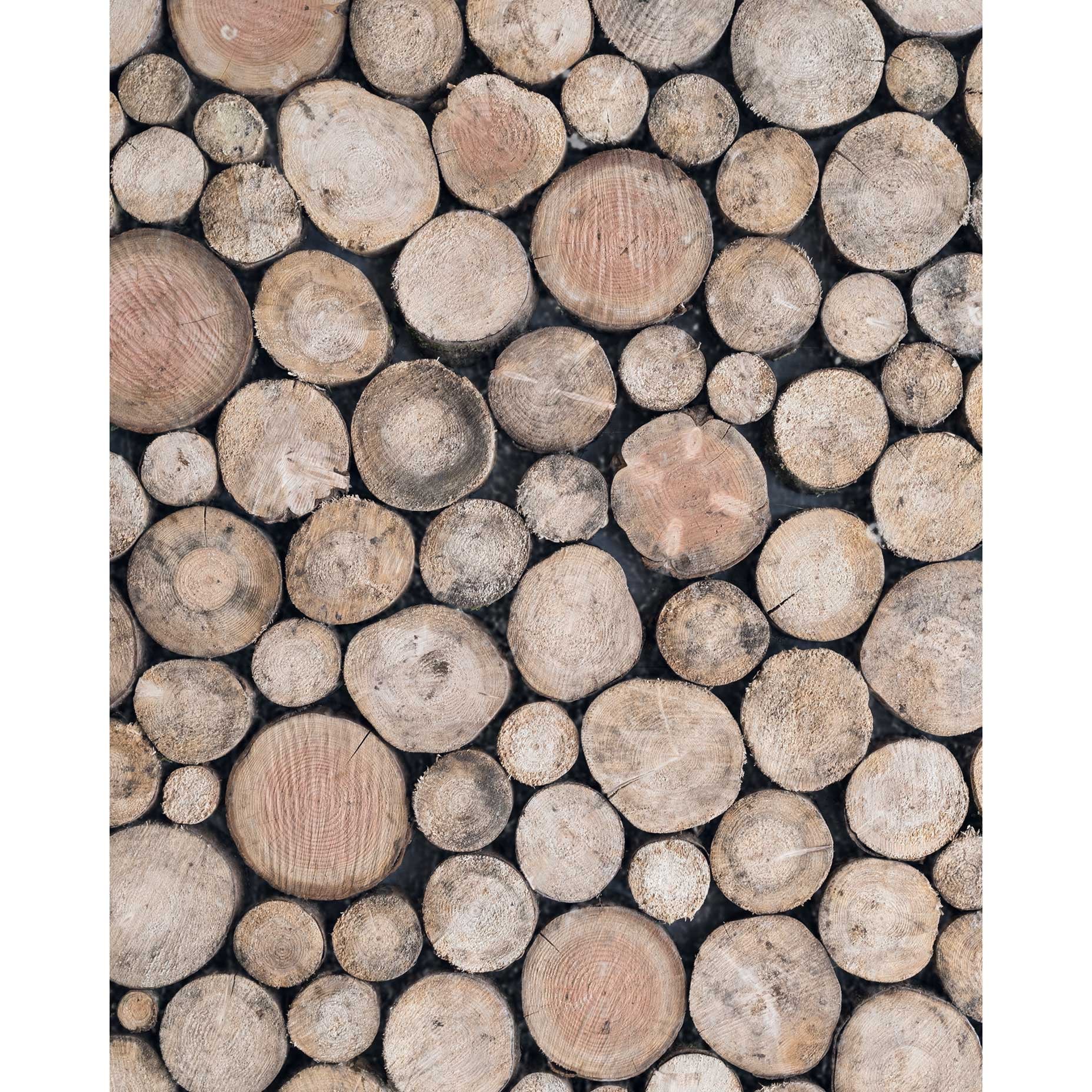 Wood Logs Abstract Poster