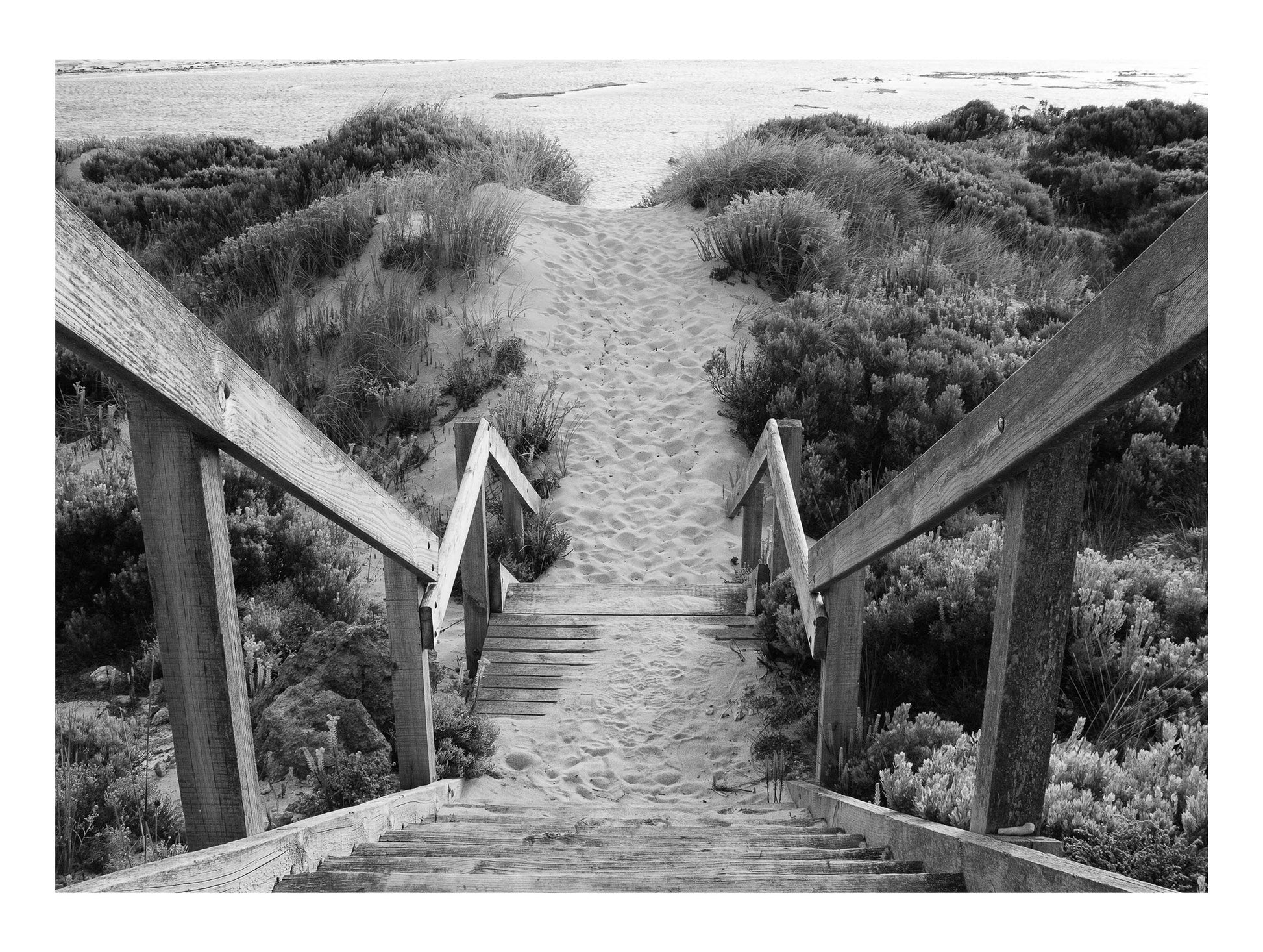Wooden Path on a Beach Poster