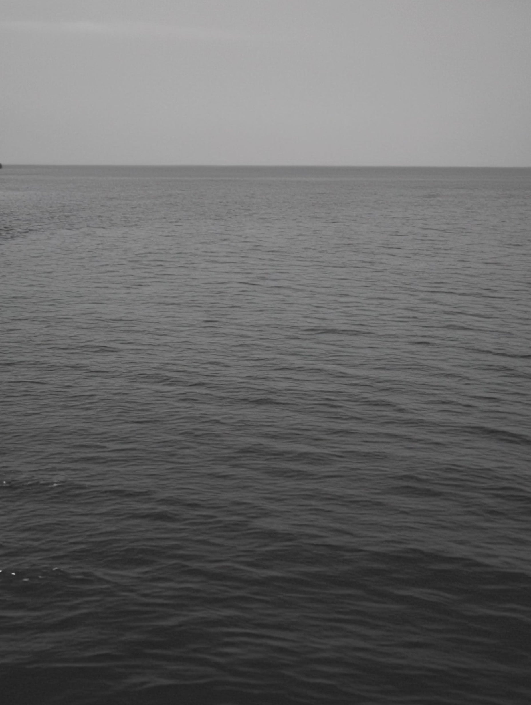 Keiss Castle Black and White Poster