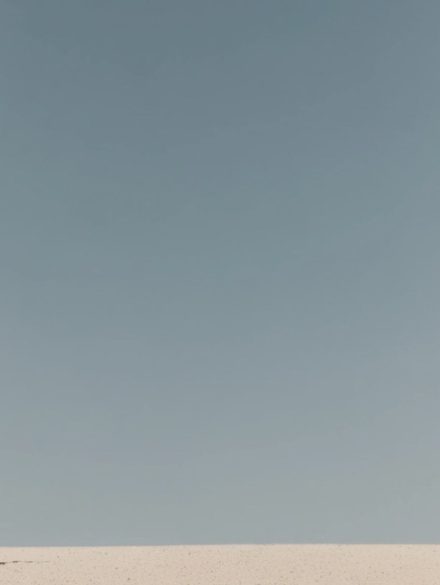 Bedouin and His Camel Poster