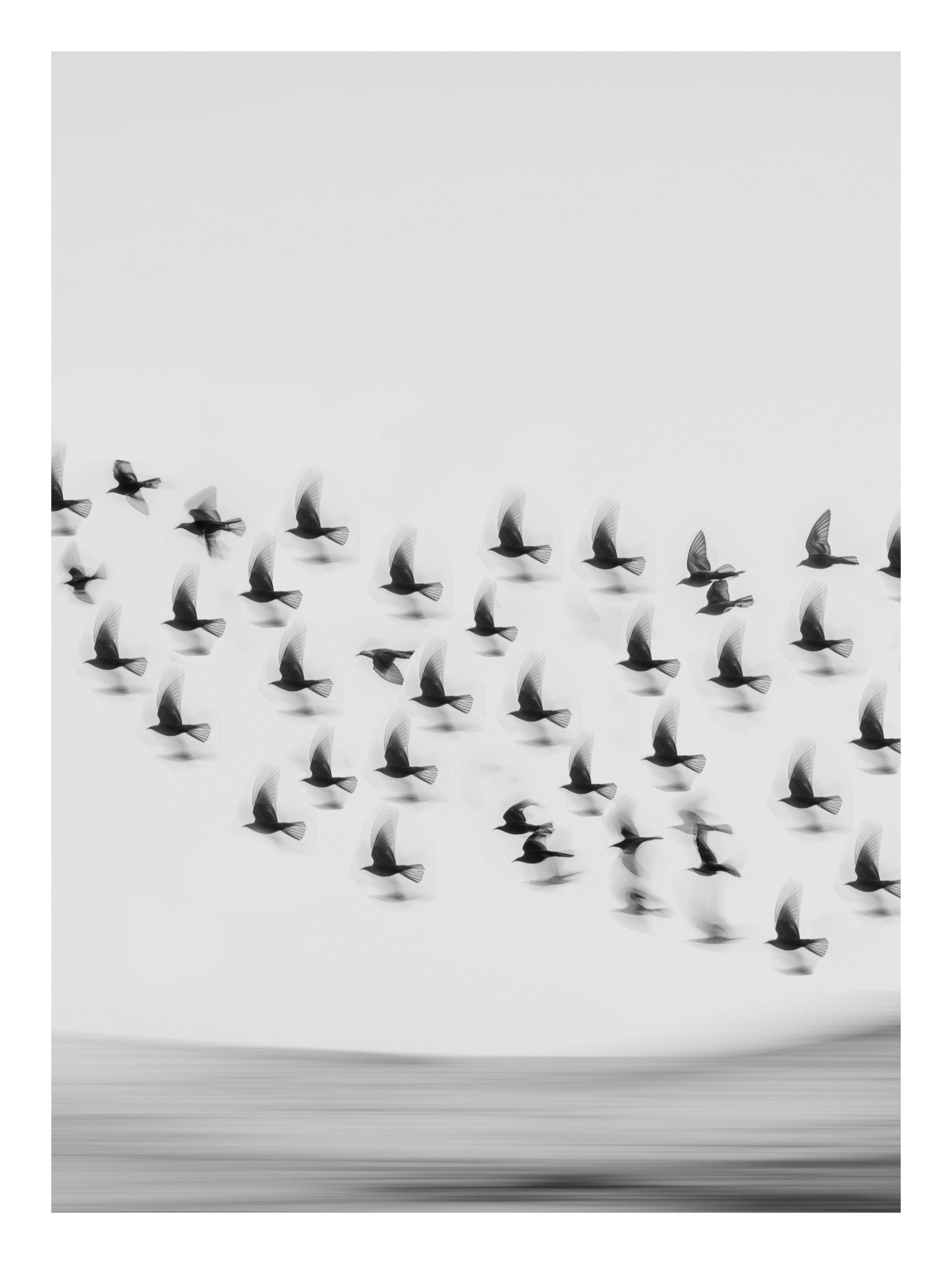 Flying Birds – Minimalist Black & White Poster