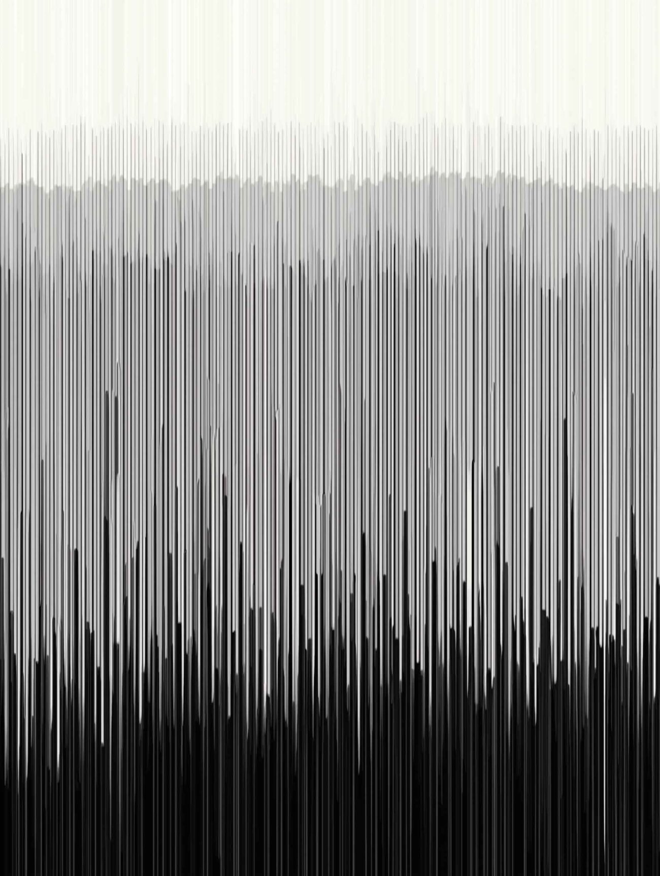 Echoform – Black & White Gradient Line Poster