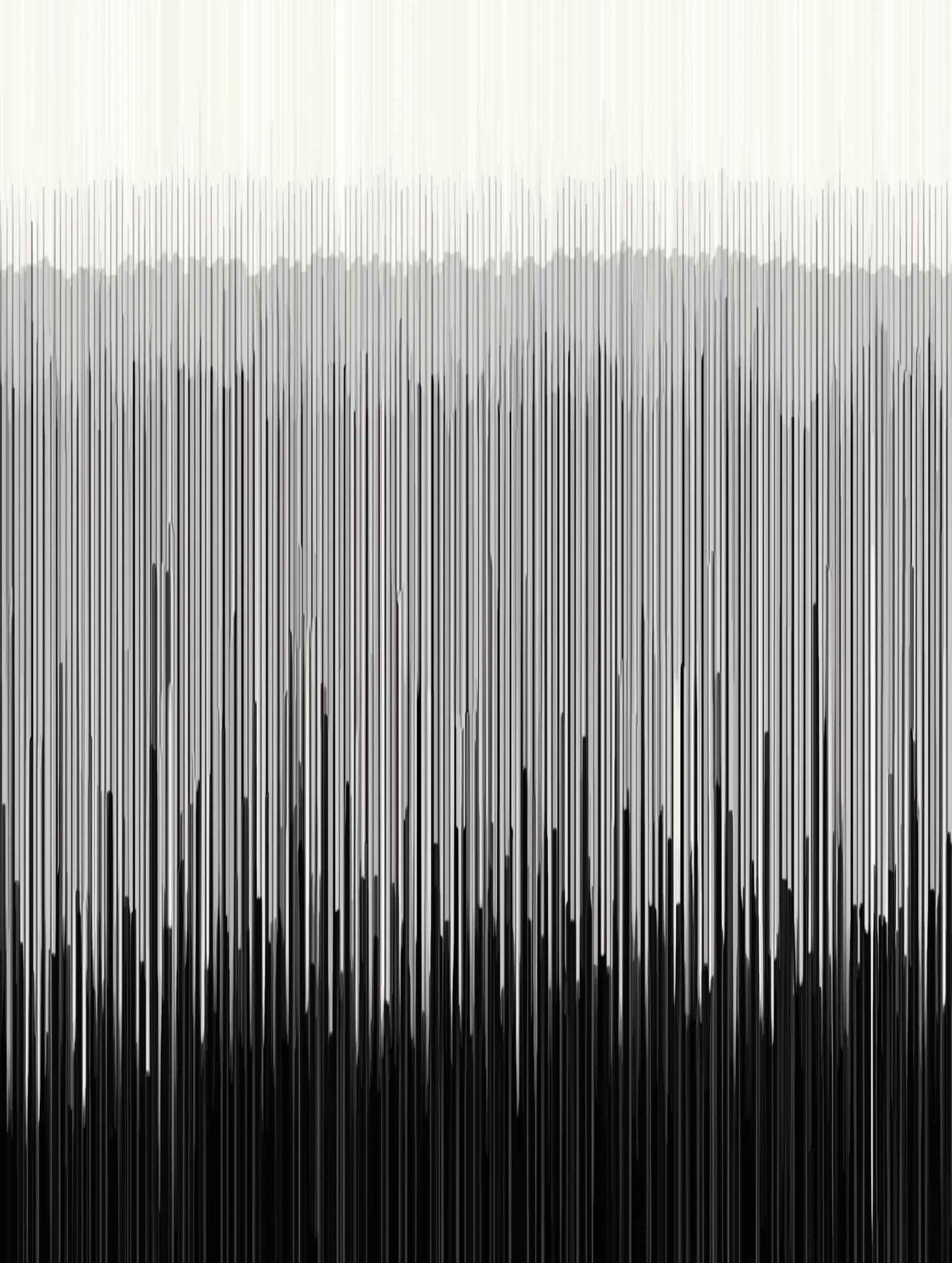 Echoform – Black & White Gradient Line Poster