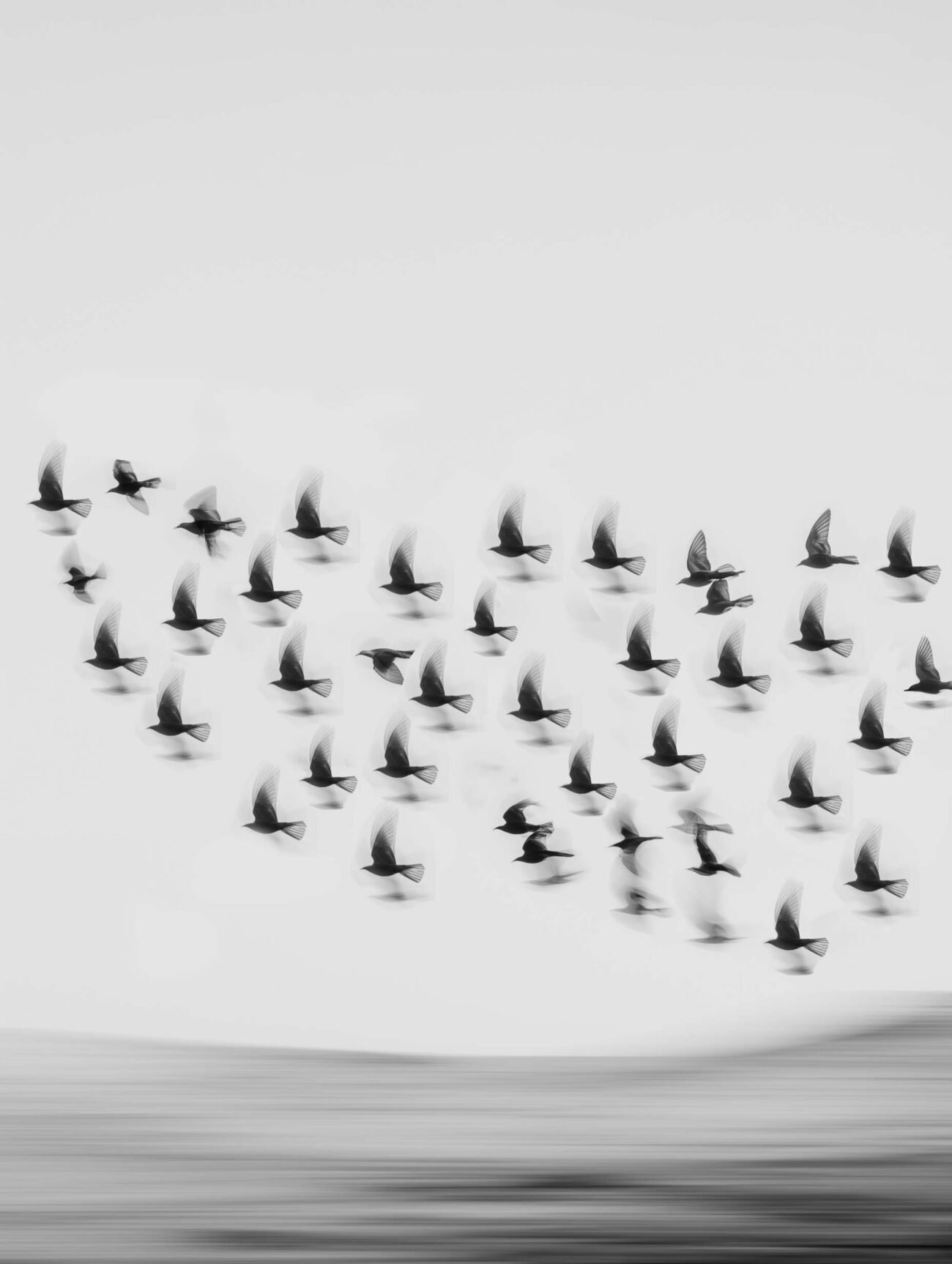 Flying Birds – Minimalist Black & White Poster