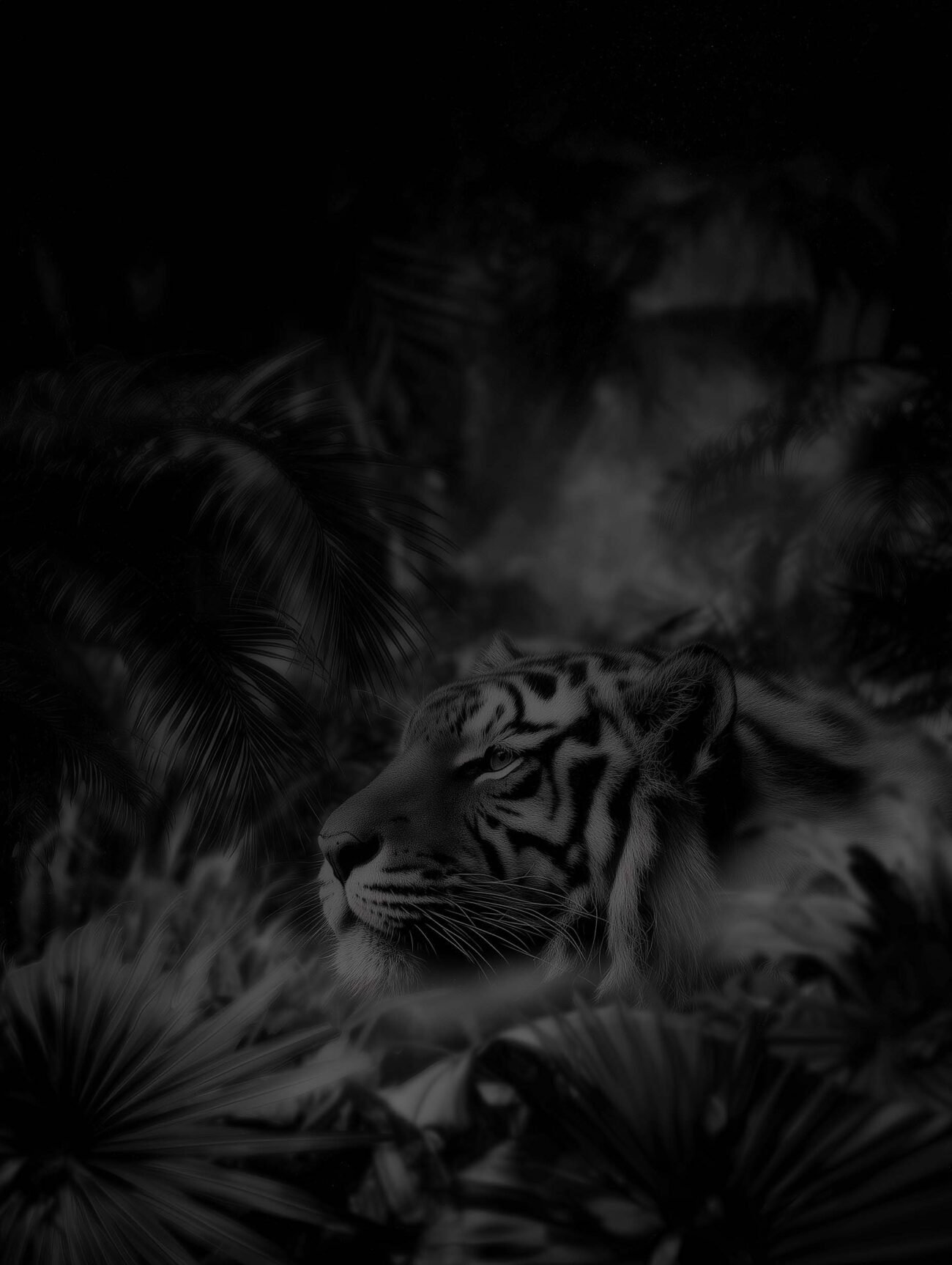 Black and White Tiger – Animal Wall Art Poster