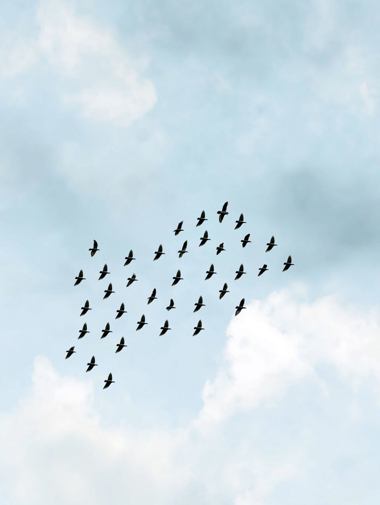 Flying Birds – Soft Sky Poster