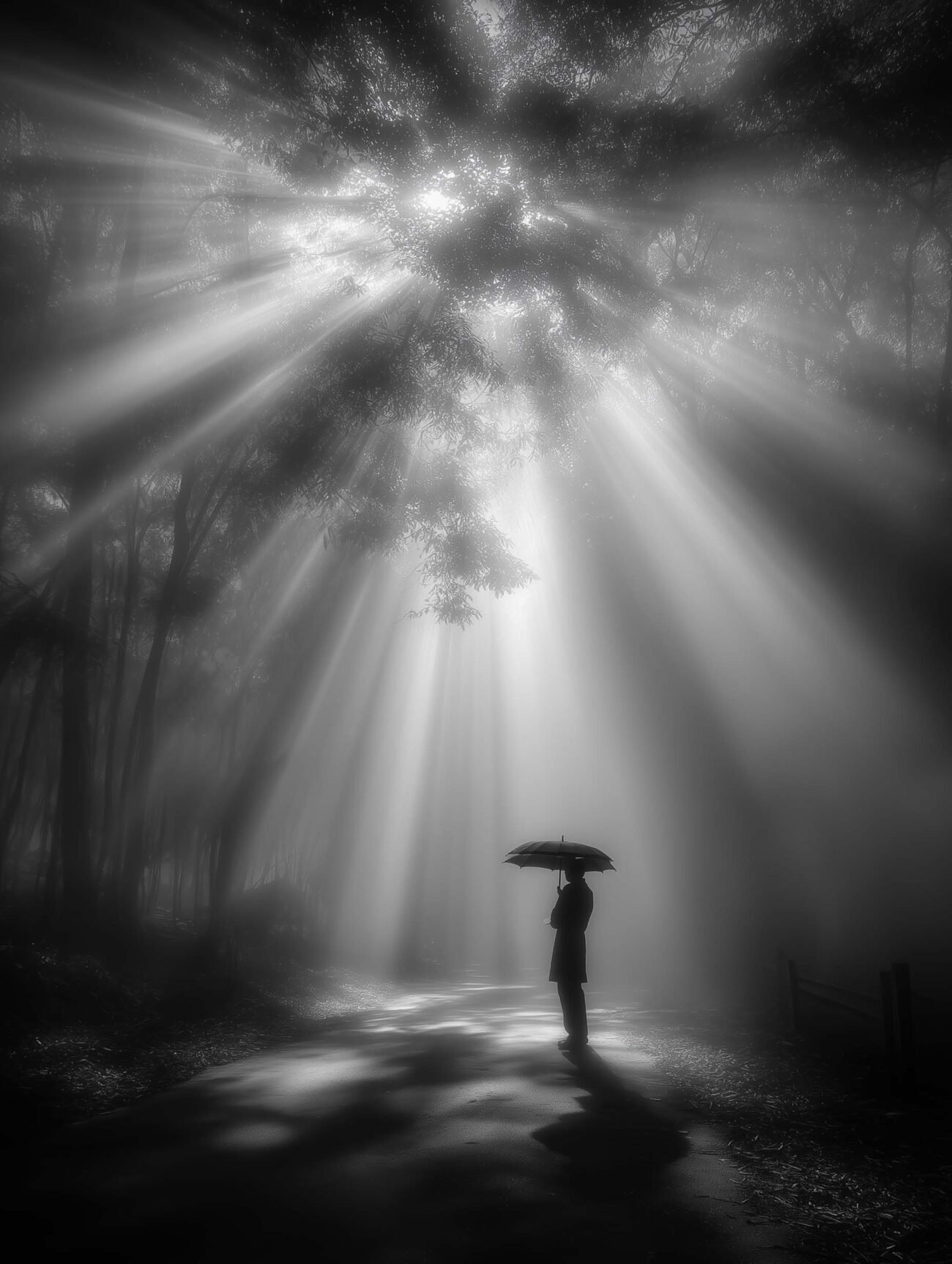 Foggy Forest – Black and White Poster