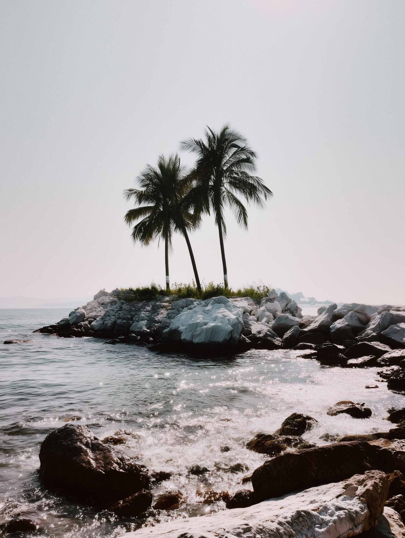 Palms on Island – Tranquil Coastal Poster